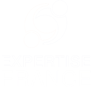 UNDP Logo